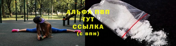молекула духа Пересвет