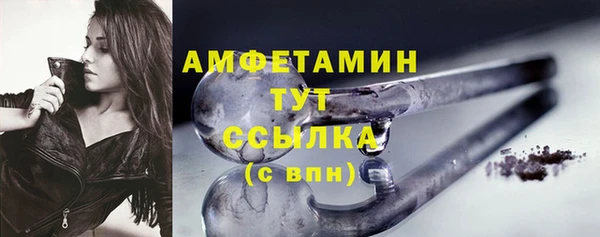 молекула духа Пересвет