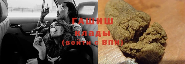 молекула духа Пересвет