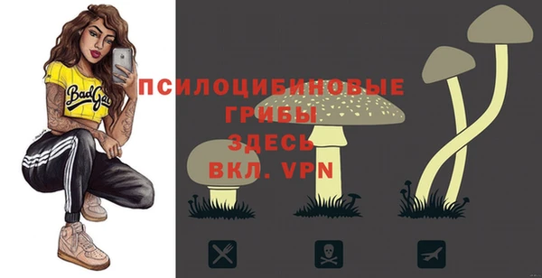 молекула духа Пересвет