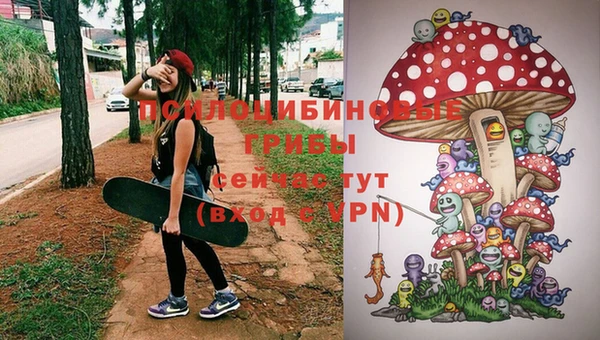 молекула духа Пересвет
