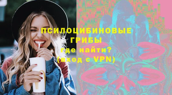 гашик Переславль-Залесский