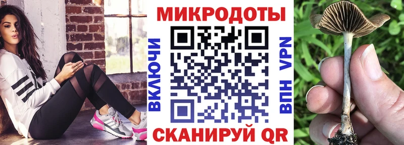 купить наркотик  Безенчук  ссылка на мегу как войти  Псилоцибиновые грибы Psilocybine cubensis 